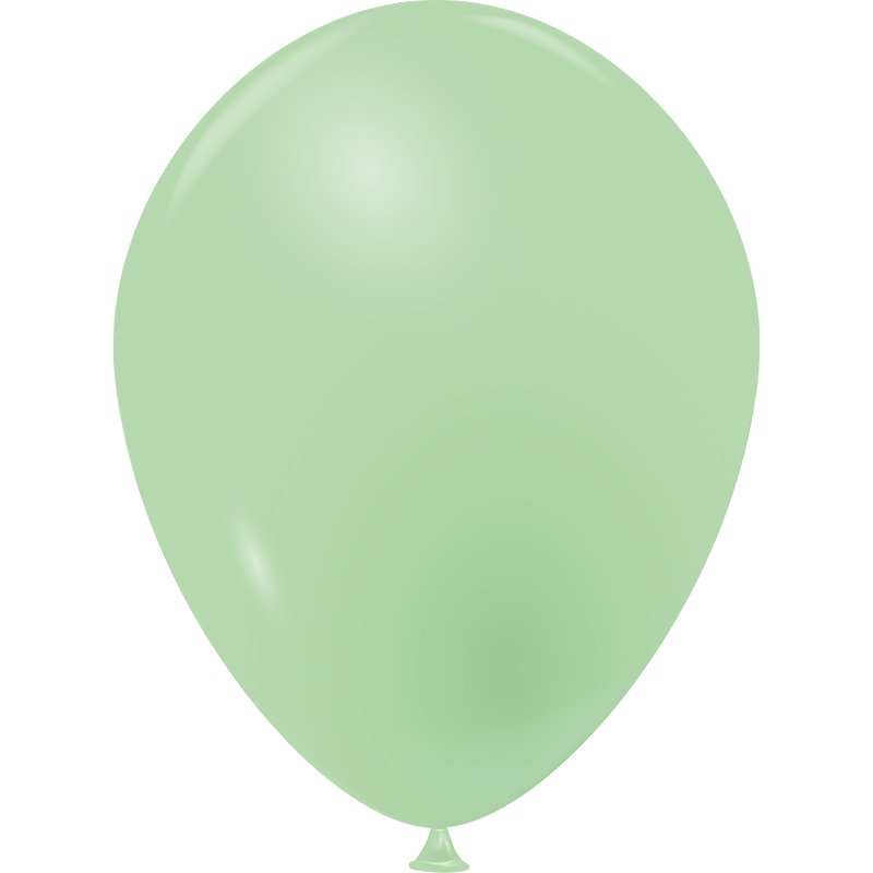 Featured image for “Ballon vert menthe opaque”