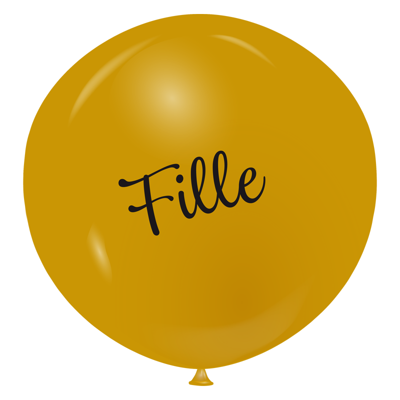 Featured image for “Ballon géant fille”