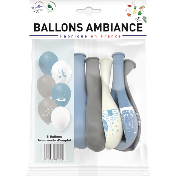 Ballons banquise – Image 2
