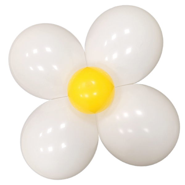 Kit marguerites