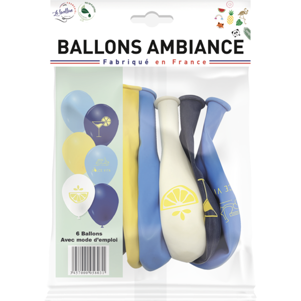 Ballons le zeste de la vie – Image 2