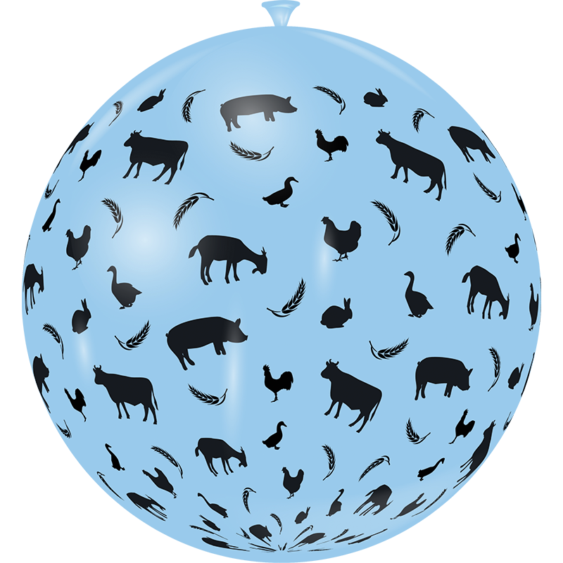 Featured image for “Ballon les amis de la prairie”
