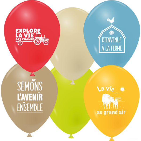 Ballons l'appel de la terre