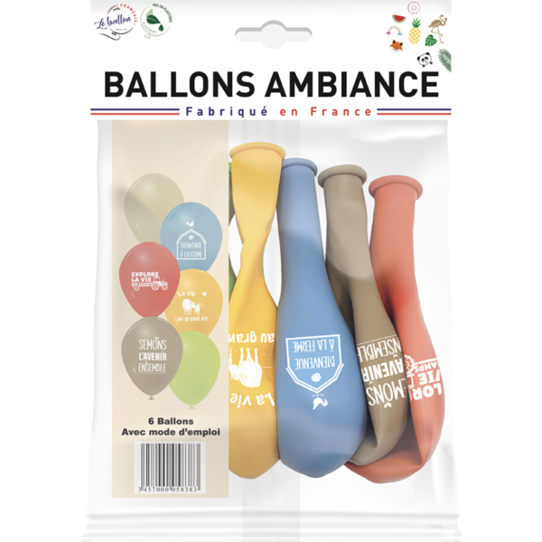 Ballons l'appel de la terre – Image 2
