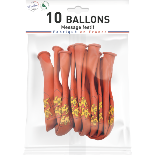 Ballon Normandie – Image 2