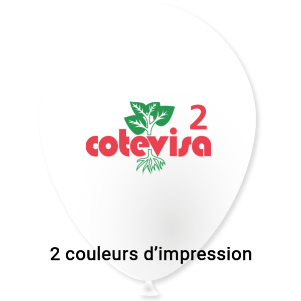 Ballon Ø 30/34 cm | 1 Face 2 Couleurs | Mini 10 000 pièces
