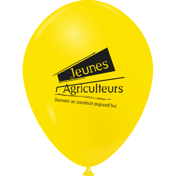 Ballon Ø 23 cm | 1 Face 1 couleur | Mini 1000 pièces
